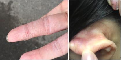 202002071581077264.jpg 3.jpg